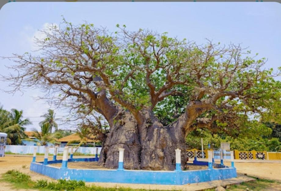 Enoch Guest House Mannar Dış mekan fotoğraf