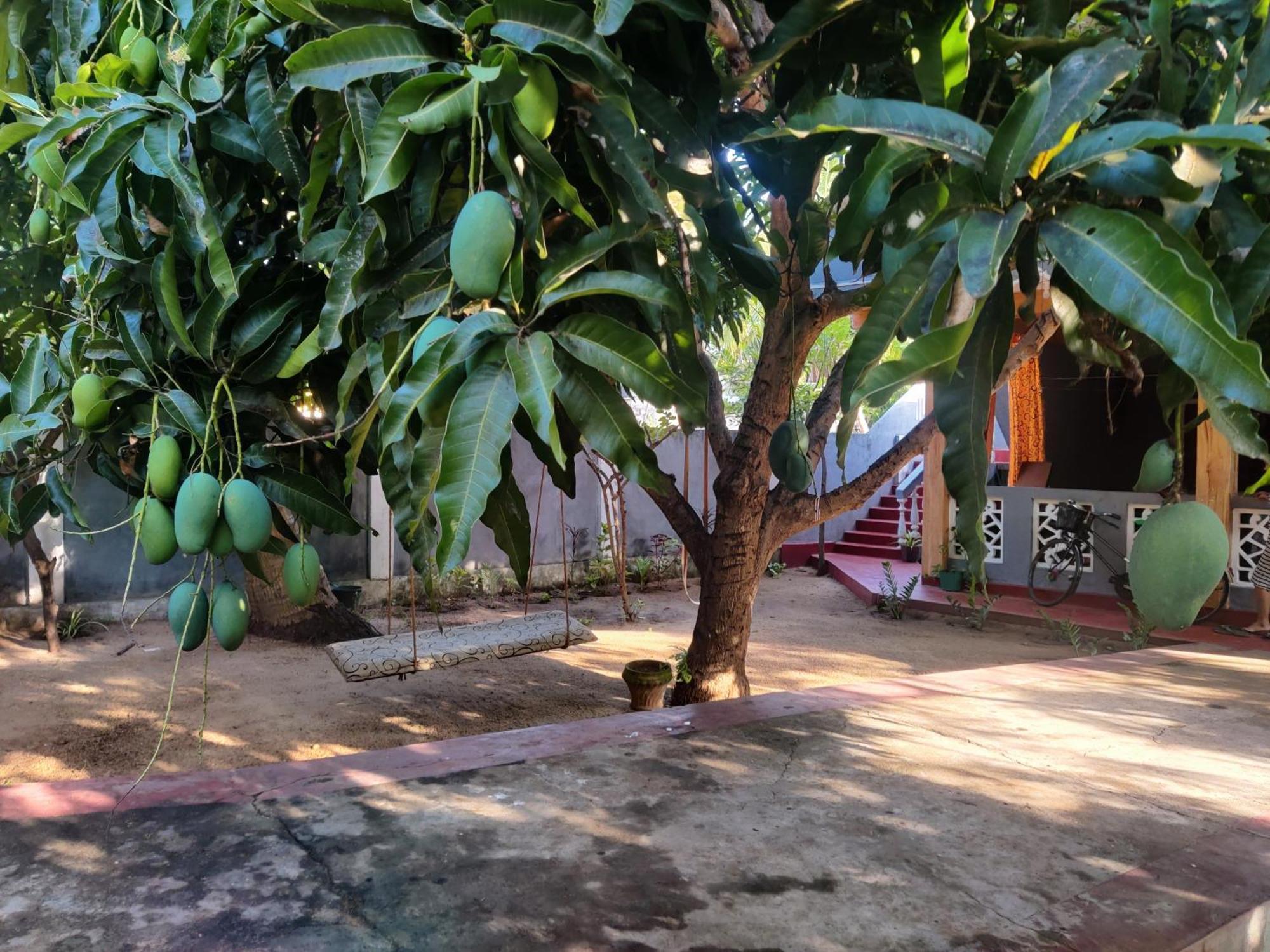 Enoch Guest House Mannar Dış mekan fotoğraf