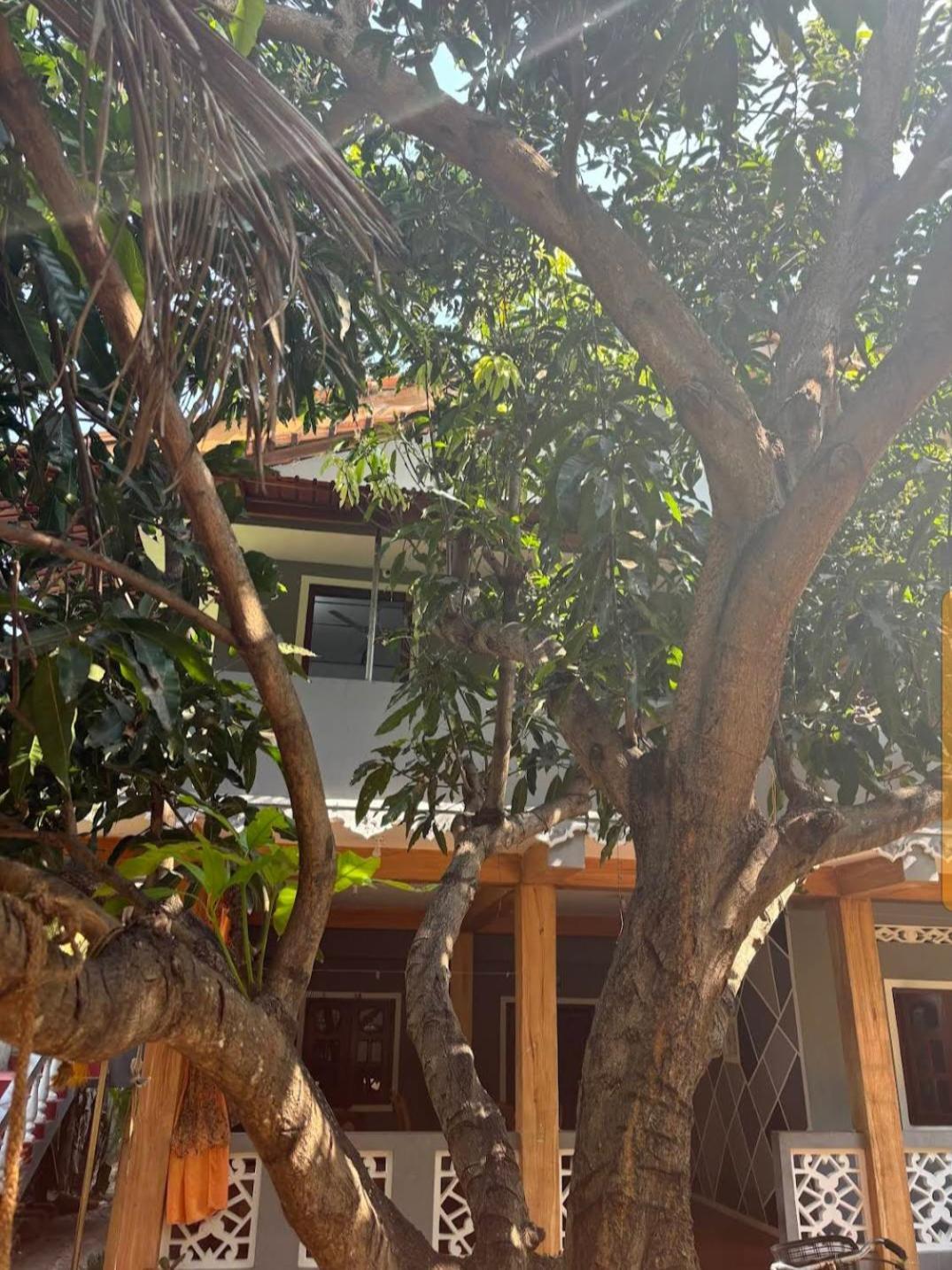 Enoch Guest House Mannar Dış mekan fotoğraf