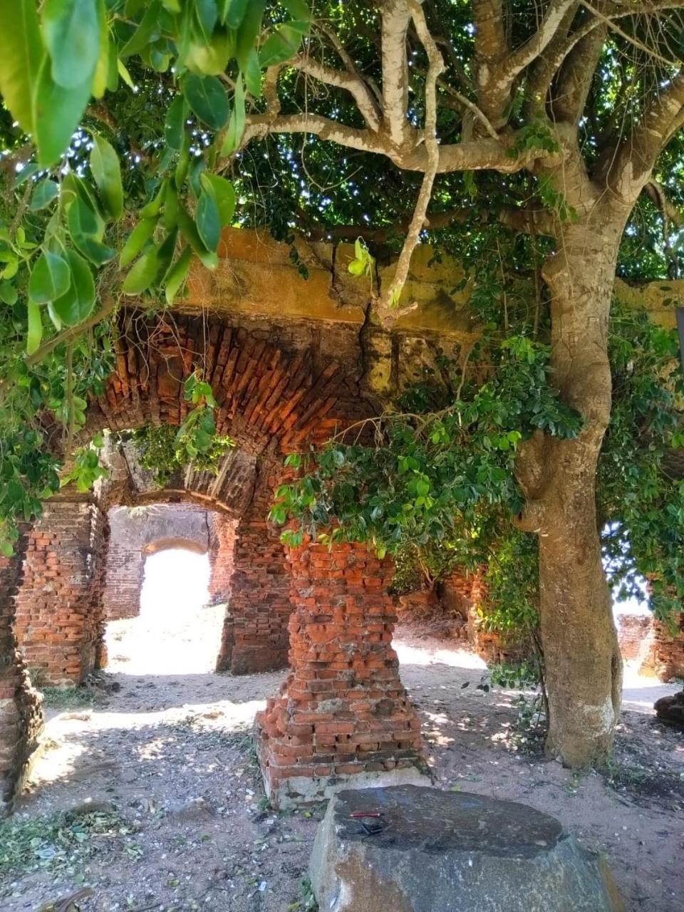 Enoch Guest House Mannar Dış mekan fotoğraf
